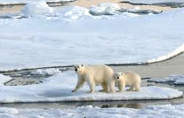 climate